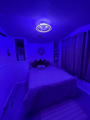Disney Cottage